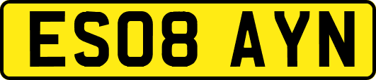 ES08AYN