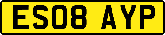 ES08AYP