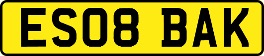 ES08BAK