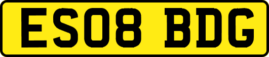 ES08BDG