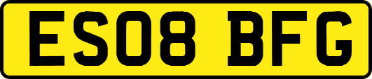 ES08BFG