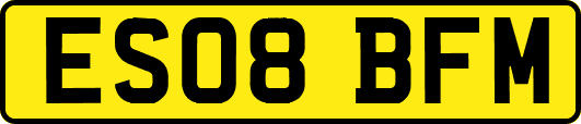 ES08BFM