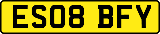 ES08BFY