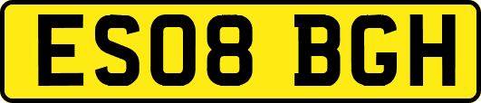 ES08BGH