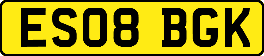 ES08BGK
