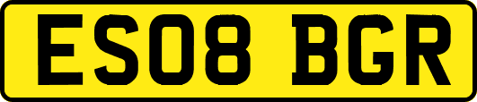 ES08BGR
