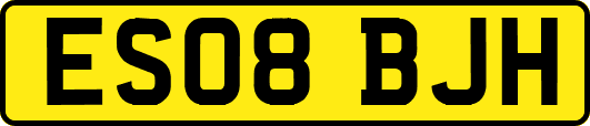 ES08BJH