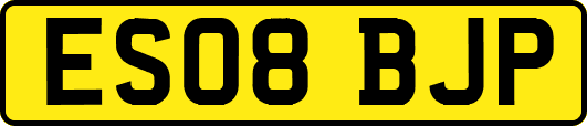 ES08BJP