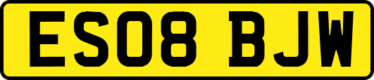 ES08BJW
