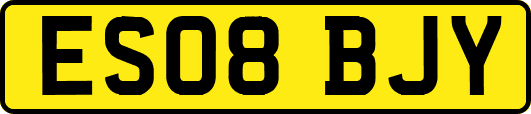 ES08BJY