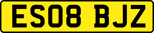 ES08BJZ
