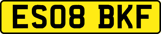 ES08BKF
