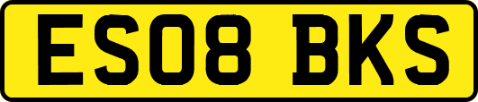 ES08BKS