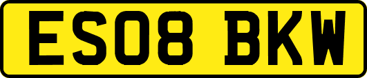 ES08BKW