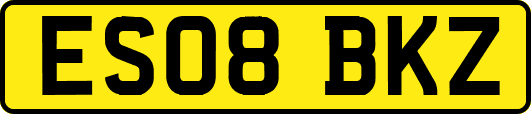 ES08BKZ