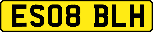 ES08BLH