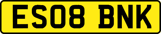 ES08BNK