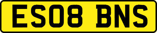 ES08BNS
