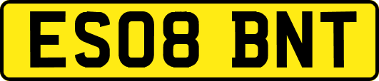 ES08BNT
