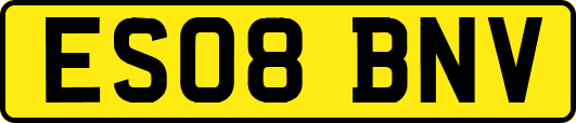 ES08BNV