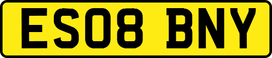 ES08BNY