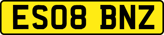 ES08BNZ