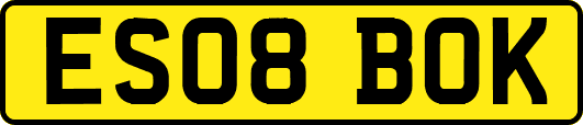 ES08BOK