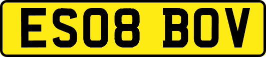 ES08BOV