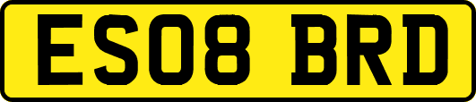 ES08BRD
