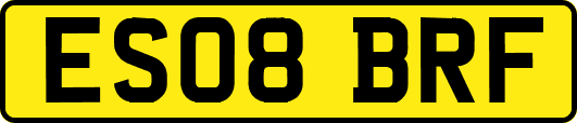 ES08BRF