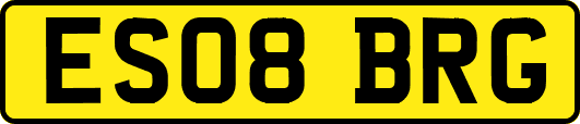 ES08BRG