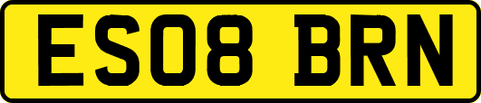 ES08BRN