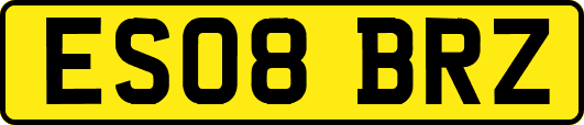 ES08BRZ