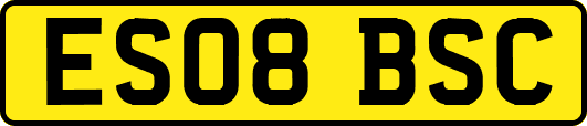 ES08BSC