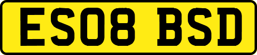ES08BSD