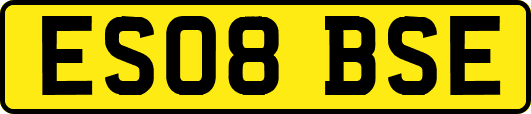 ES08BSE