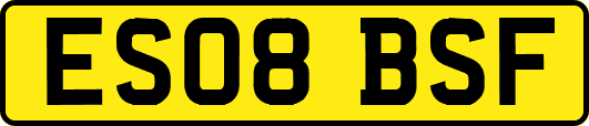 ES08BSF