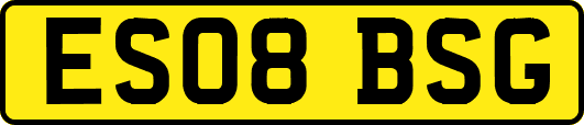 ES08BSG