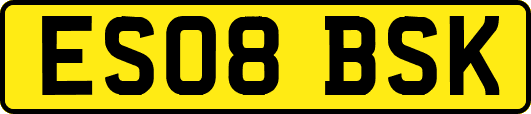 ES08BSK