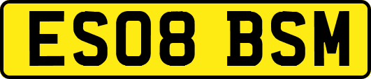 ES08BSM