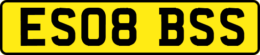 ES08BSS