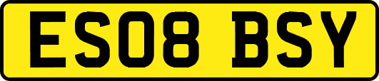 ES08BSY