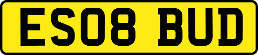 ES08BUD