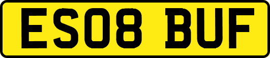 ES08BUF