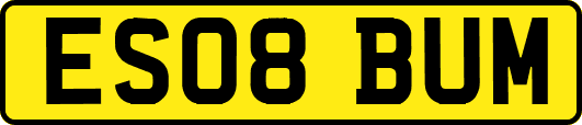 ES08BUM