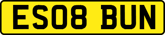 ES08BUN