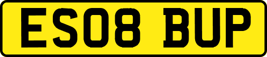 ES08BUP