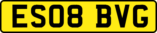 ES08BVG