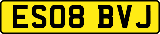ES08BVJ