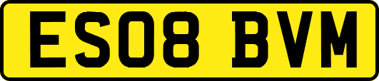 ES08BVM